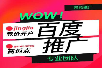 百度SEM推广案例解析：成功秘诀大公开